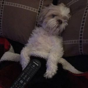 Meet your Posher, Veronica